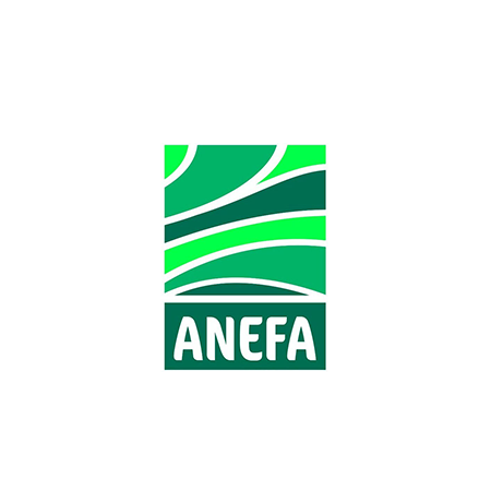 anefa